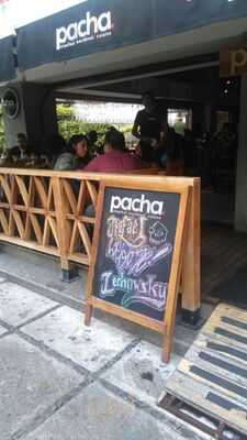 Pacha