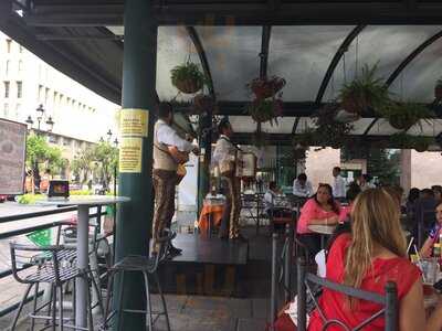 Terra Madre Restaurante & Bar