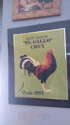 Tacos Y Gorditas El Gallo