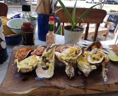 Pata De Palo Providencia