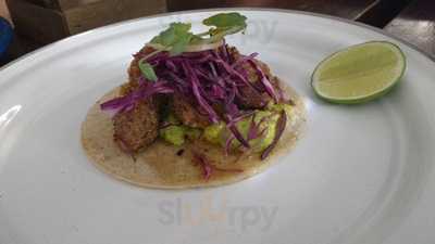 Pata De Palo Providencia