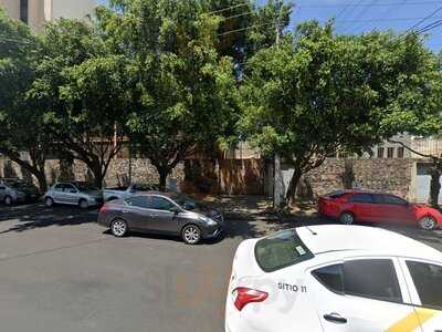 Pata De Palo Providencia