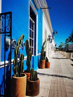 Cafebreria Punto Mid