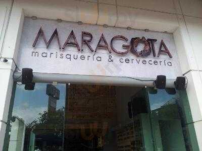 Maragota