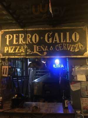 Pizzas Perro Gallo