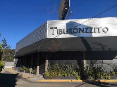 Tiburonzzito Guadalajara