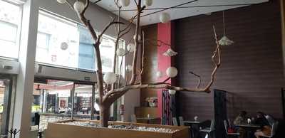 Wazaaabi Sushi House