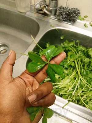 La Baracha Barbacoa De Borrego