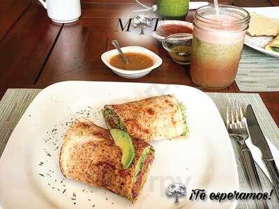 Gracias Madre Tierra