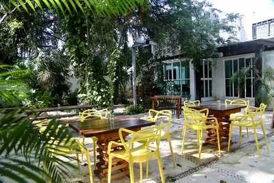 Gracias Madre Tierra