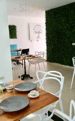 Gracias Madre Tierra