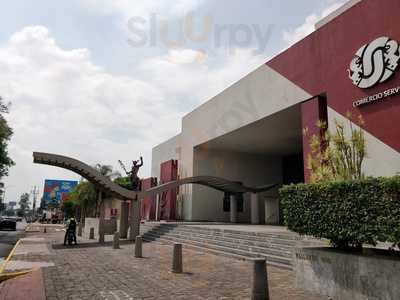 Restaurante & Bar De Camara