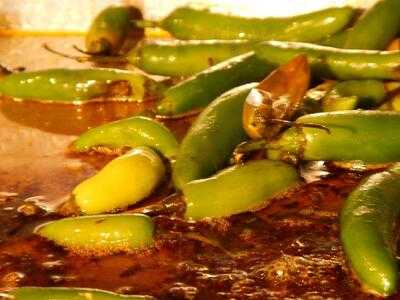 Rosticerias Pollito Pio