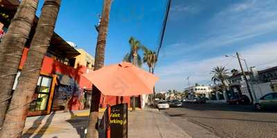 Sophia Cucina Italiana