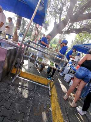 Tacos Charlie Jardines Del Sol