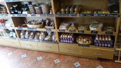 Huerto Urbano Organico