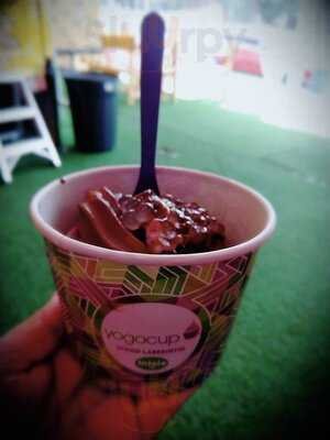 Yogocup Providencia
