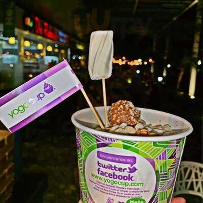 Yogocup Providencia