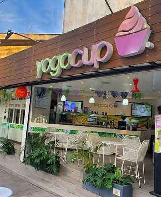 Yogocup Providencia