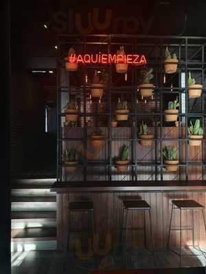 Tj Tap House Revolución