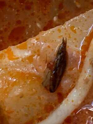 La Cocina De Dona Chuy