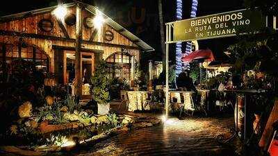 La Ruta Del Vino En Tijuana