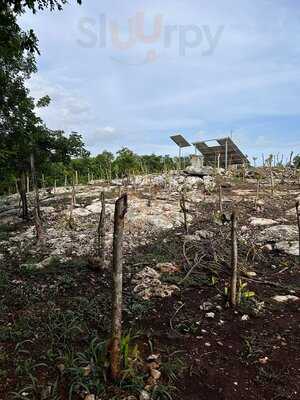 Hacienda Selva Maya
