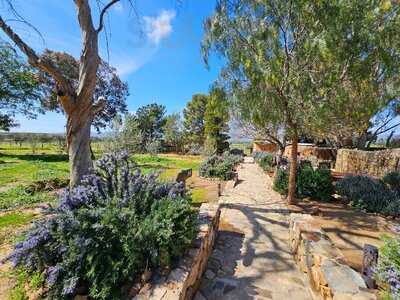 Deckman´s En El Mogor