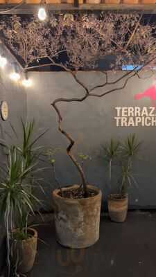 Terraza Trapiche