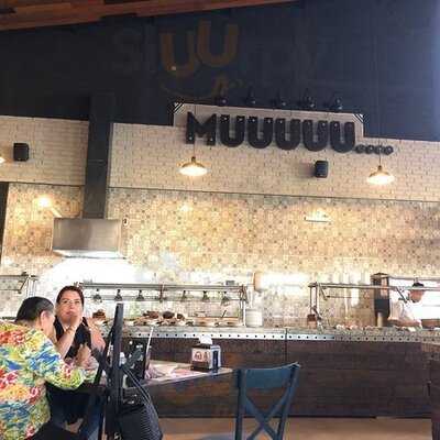 La Vaka León - Campestre