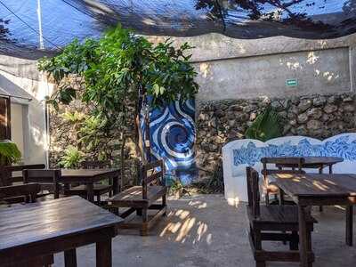 Cafe Del Profesor Pitagoras