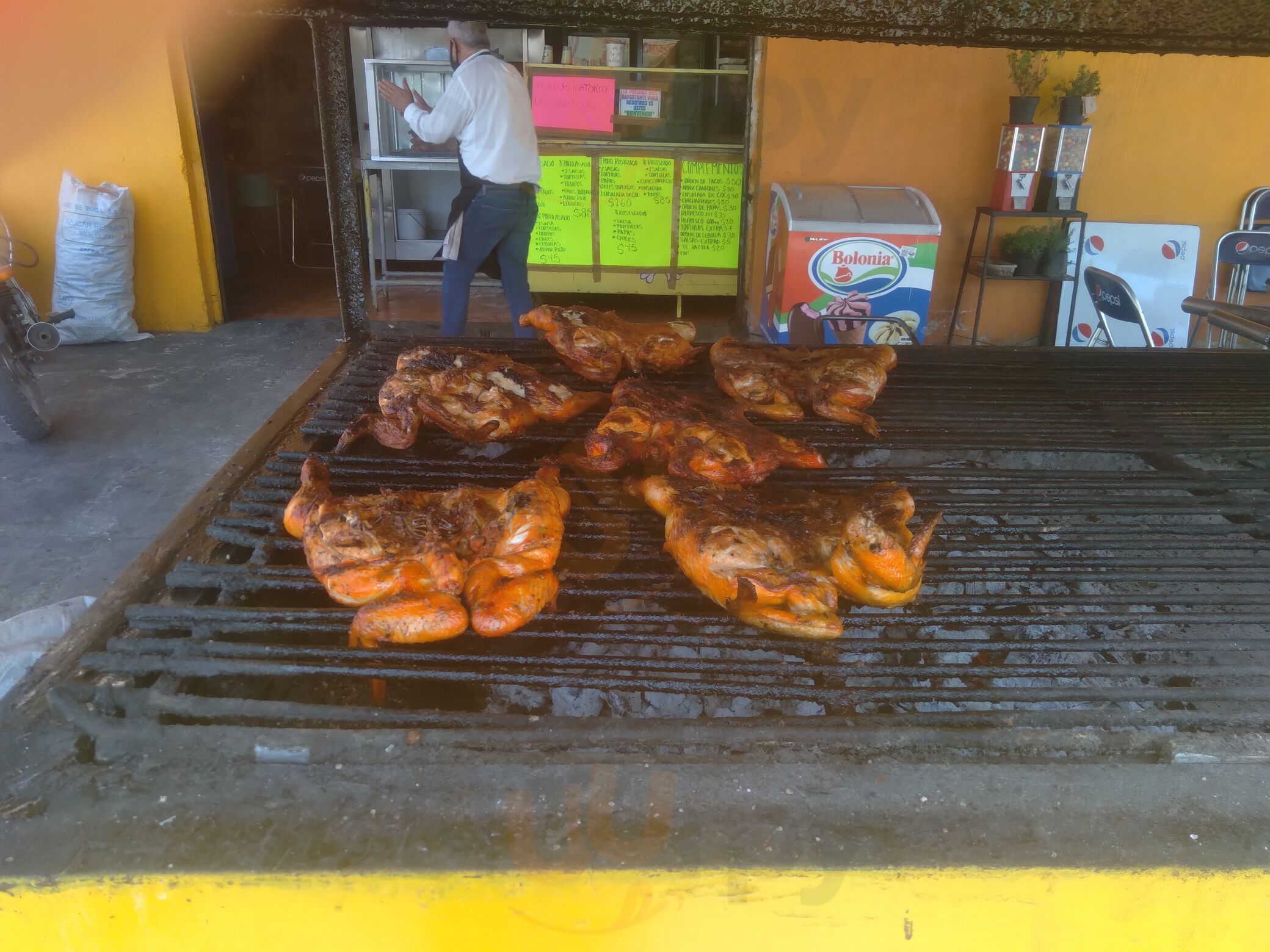 El Pollo Rey