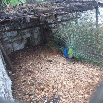 Restaurante Hacienda Ticuch