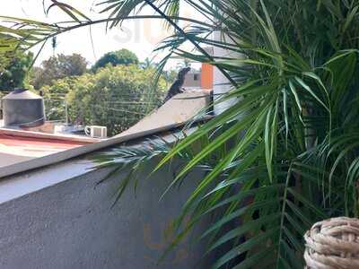 Dulce Tierra Bakery & Coffee Shop