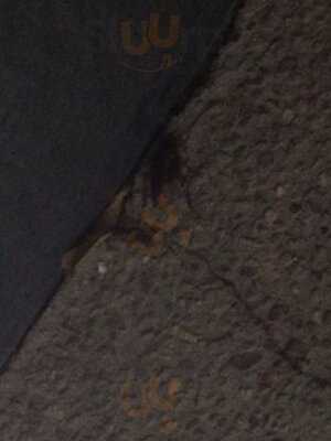 Dos Bocas - Campestre