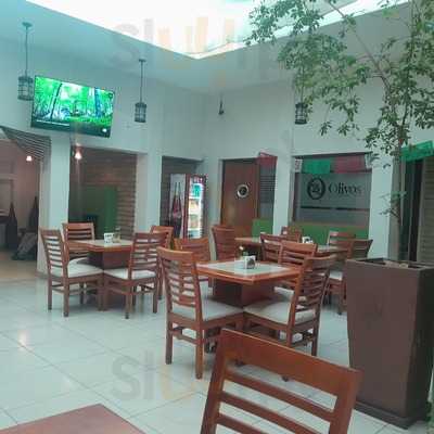 Olivos Fusión Restaurant- Bar- Café