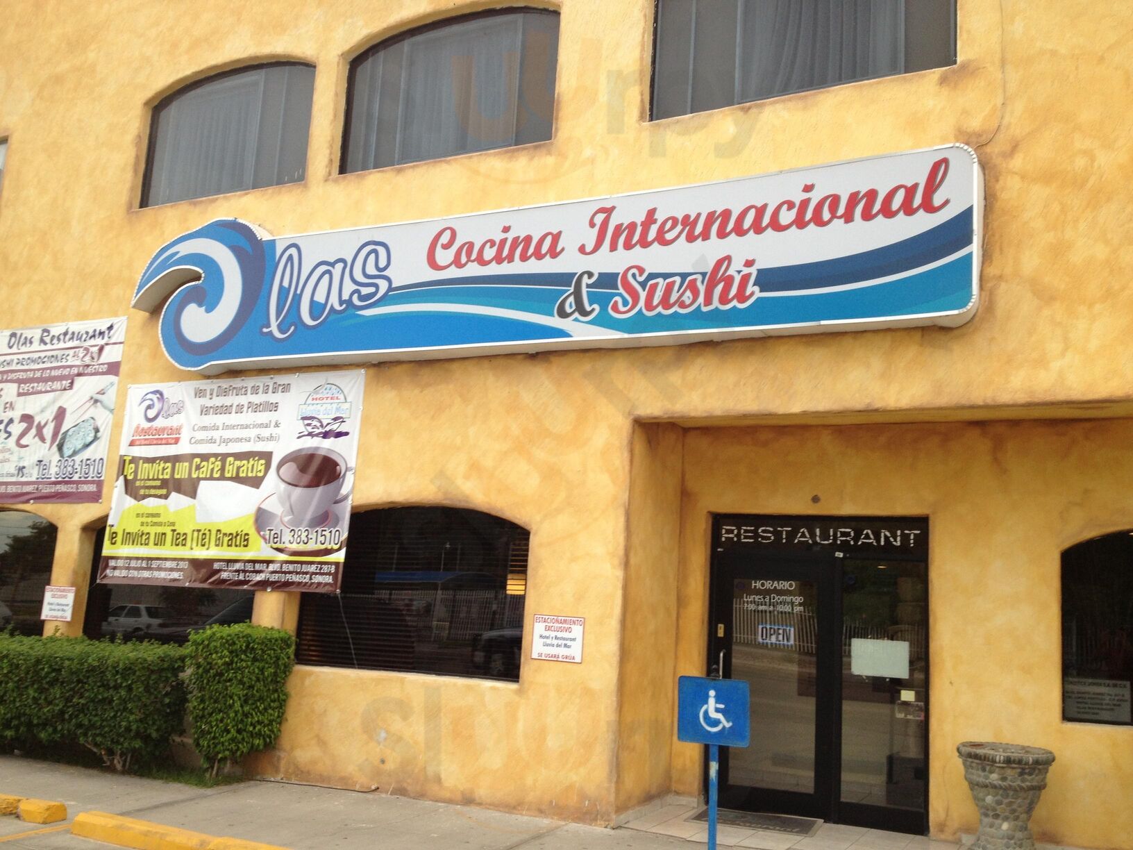 Olas Restaurant