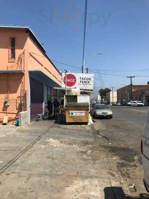 Tacos Fenix