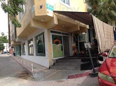 Photo 4