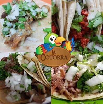 La Cotorra Taquería