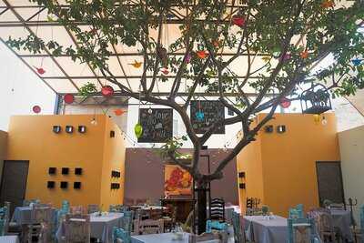 Buffet Vegetariano Girasol