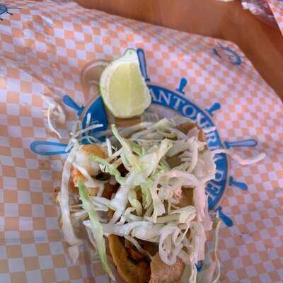 Tacos De Camaron El Gallo Antojeria Del Mar