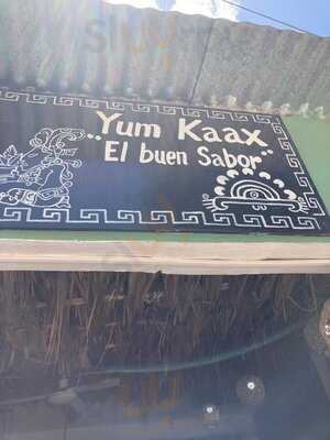Yum Kaax El Buen Sabor