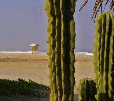 Tropical Surf Restaurant