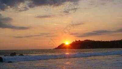 Tropical Surf Restaurant