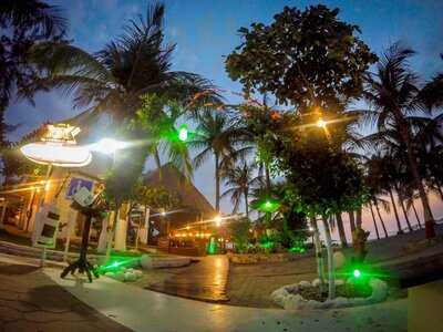 Rosarito Restaurant Zicatela