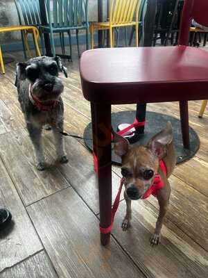 Tótem Comfort Food · Bar · Café De Especialidad