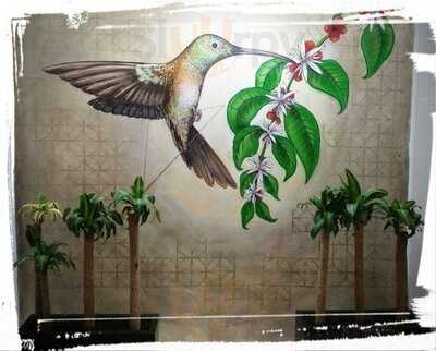 Café Colibrí León