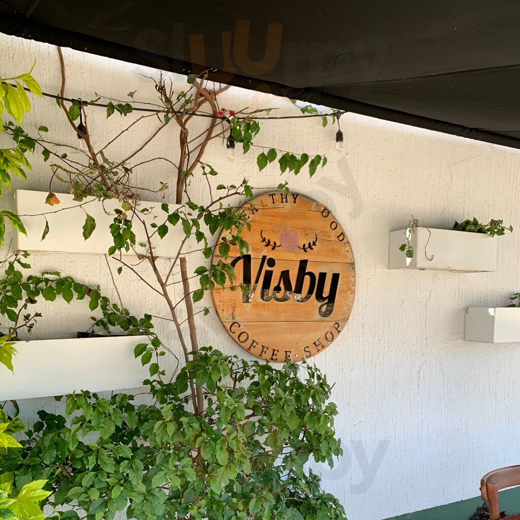 Visby Cocina Saludable Y Diseno