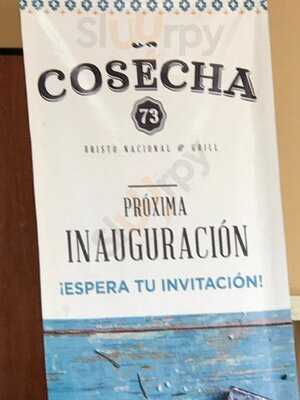 Cosecha 73